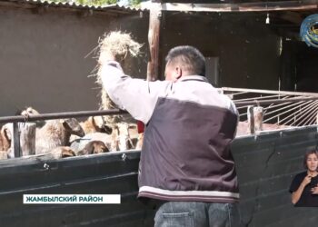 Помощь малообеспеченным семьям