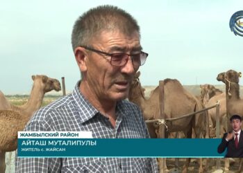 В Алматинской области в рамках программы «Ауыл аманаты» реализовано более тысячи проектов