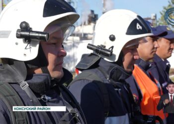 19 октября в нашей стране отмечается День спасателя