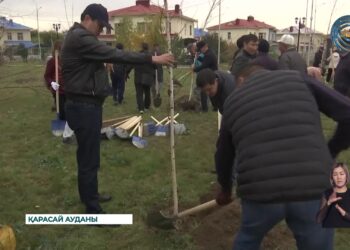 «Таза Қазақстан» республикалық акция аясында 50 көшет отырғызылды
