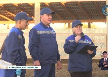 Ветеринары сделали около 15 тысяч прививок животным и птицам