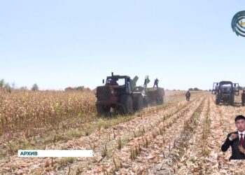 Панфиловский район демонстрирует благоприятные условия для производственной и логистической отраслей