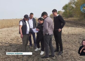 Жетісу облысында егін жинау науқаны қызу