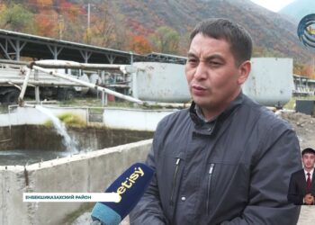 Рыбное хозяйство Алматинской области установило рекорд