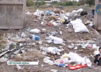 Жители села Шонжы пожаловались на незаконные свалки и отсутствие системы переработки бытовых отходов