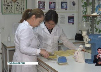 Сапалы тұқым – мол өнім кепілі