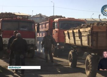 Ақсу, Көксу қант зауыттары тәтті түбірді 1 желтоқсанға дейін қабылдамақ