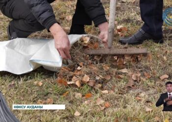 Көксу ауданында «Таза бейсенбі» акциясы дәстүрге айналды