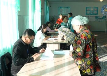 Қаратал ауданында референдум заң аясында өтті