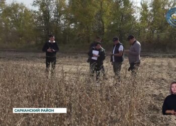 В области Жетысу активно проходит уборочная кампания по сбору урожая масличных культур