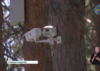 Қойлық ауылында 20-ға жуық бейнебақылау камерасы орнатылды
