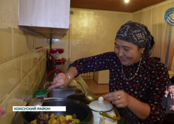 В области Жетісу 192 селам включены в комплексный план газификации до 2030-го года