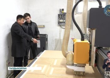 В области Жетысу активно развивается малый и средний бизнес