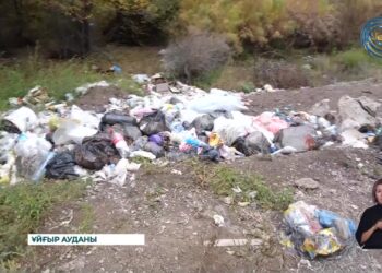 Қоқыс мәселесі  – өзекті