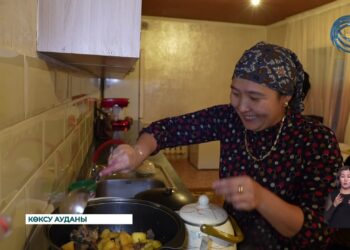 Жетісу облысында газ тарту жұмыстары қарқынды