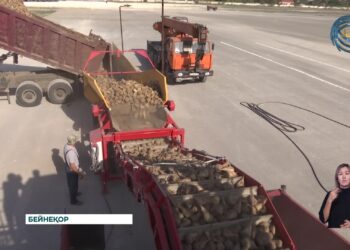 Көксу қант зауыты 22 қазаннан бастап, қайтадан қызылша қабылдай бастайды