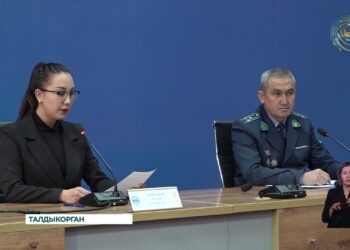 В области Жетысу наблюдается рост числа ДТП