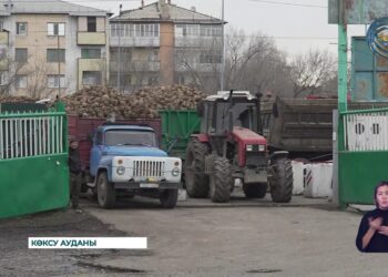 Зауыт күніне 2000 тоннаға жуық қызылша қабылдап жатыр