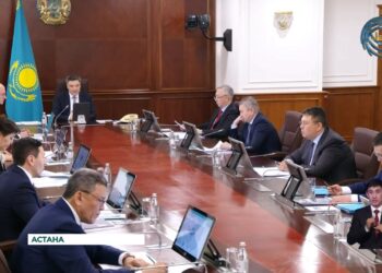 Казахстан занимает 8-е место по оказываемым онлайн-услугам