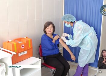 Жетісу облысы бойынша 15 000 – ға жуық адам вирустық инфекцияға шалдығыпты