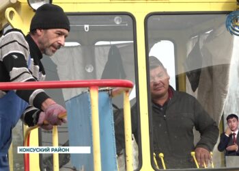 Очередной сезон для аграриев области Жетысу подарил богатый урожай