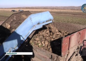 “Кең дала-2” бағдарламасы бойынша 1 қарашадан бастап өтінім қабылдау басталды