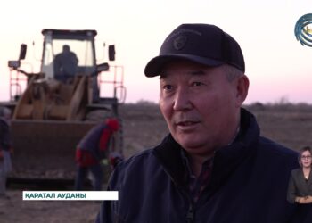 Жетісу облысында әлі де алқаптарда алынбаған қызылша бар