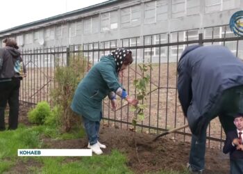 В городе Конаев были определены «Самый чистый двор» и «Самая чистая улица»