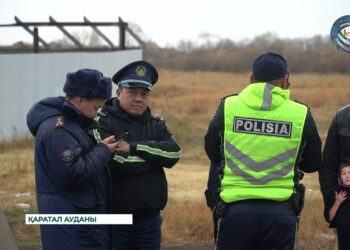 Қаскөйлер 8 үйдің қорасындағы шөпті өртеп кетті