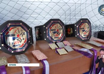 Одним из важных факторов обеспечения устойчивого развития общества является спорт