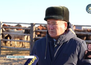 Президент тапсырмасы: Жылқы шаруашылықтарын дамыту