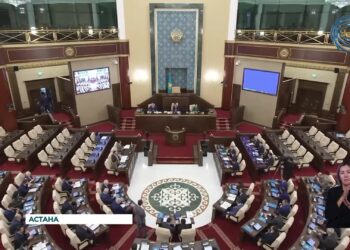 На заседании Мажилиса РК был обсужден вопрос финансирования физического воспитания и спорта в стране