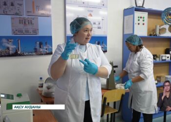 Қазақстанда қант өндірісі бойынша оқытатын арнайы оқу орындар жоқ