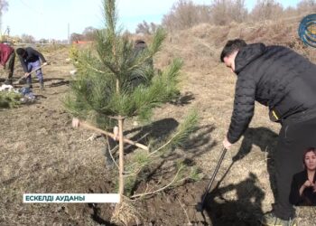 Ескелді ауданында “Таза Қазақстан” республикалық экологиялық акциясы жалғасуда