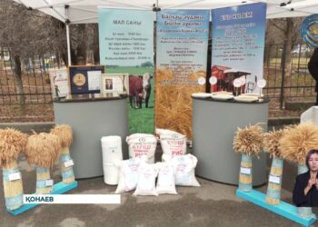 Ауыл шаруашылығы қызметкерлеріне құрмет көрсетілді