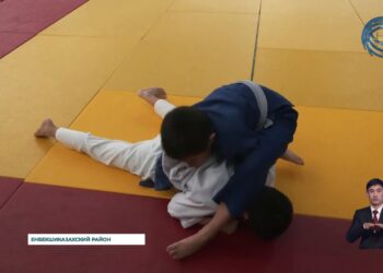В городе Есик был организован региональный турнир по дзюдо