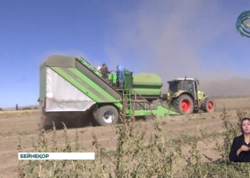 Кербұлақ ауданында 17 медициналық нысан салынады