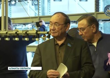 Агроөнеркәсіп кешендерін дамыту