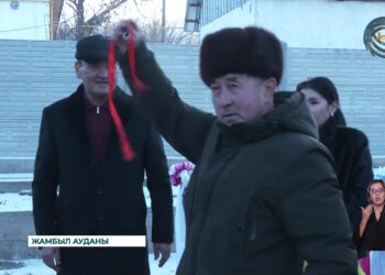 Ақтерек ауылында ақ түйенің қарны жарылды