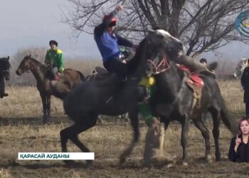 Алматы облысында ұлттық ат спорты түрінен жастар арасындағы чемпионат басталды