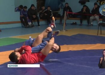Қонаевта ерлер арасындағы самбо күресінен облыстық чемпионат өтті