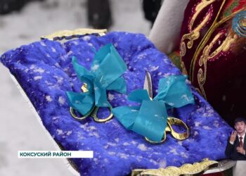 В селе Кенарал Коксуского района был открыт новый медицинский пункт