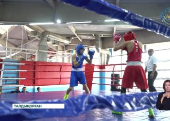 Жетісу облысында «Auyl sport – 2024» өңірлік лигасы басталды