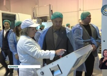 Азат Перуашев бірқатар өзекті мәселелерді көтерді