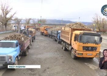 Ақсу қант зауытының қуаттылығы артты