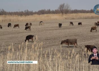 Неосвоенная земля не приносит пользы