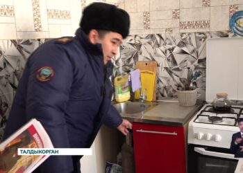 По итогам 2024-го года в области Жетысу произошло 419 пожаров