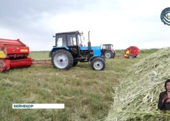 Жетісу облысы биыл да үздіктер қатарында