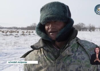 Төрт түлікті қыстан аман алып шығу қашан да маңызды науқан