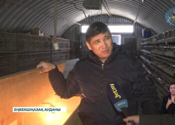 Еңбекшіқазақ ауданында ерекше кәсіп ашқан жандар бар